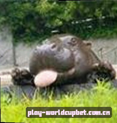 孙明